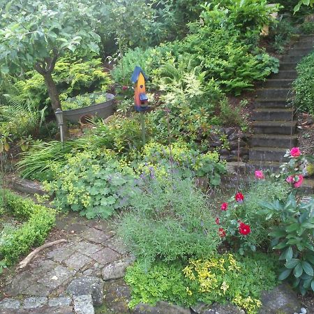 Bed & Breakfast Bodensee Mit Herz 史塔卡赫 外观 照片